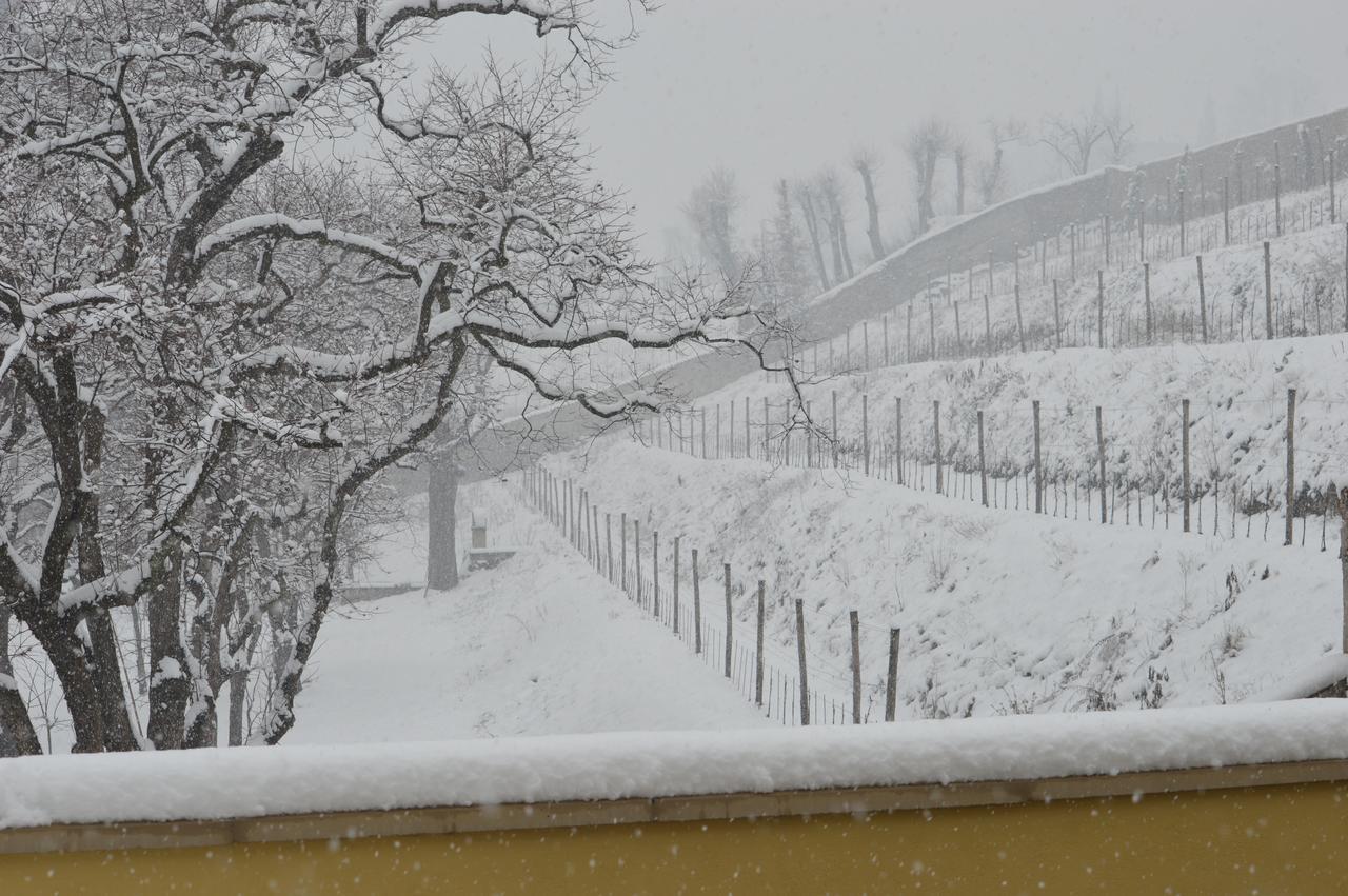 Biondelli Wine & Cazzago San Martino